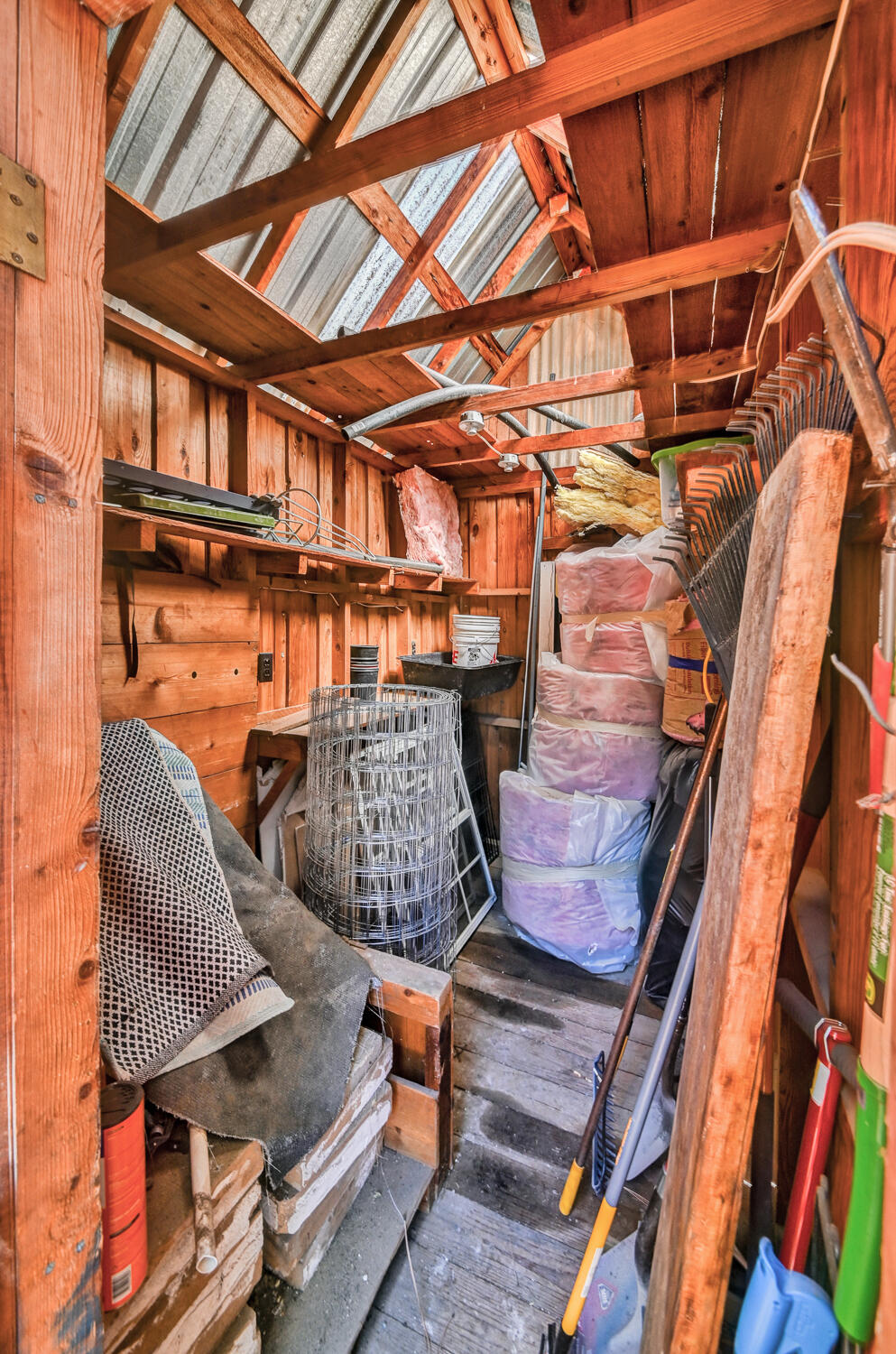 Ponderosa Pines - Land