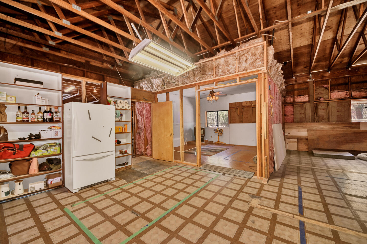 Ponderosa Pines - Land