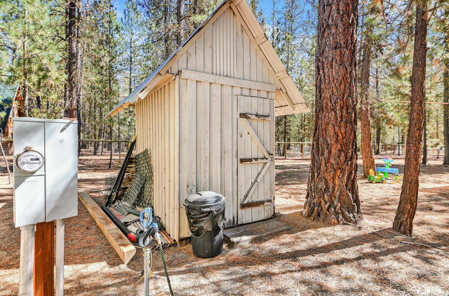 Ponderosa Pines - Land