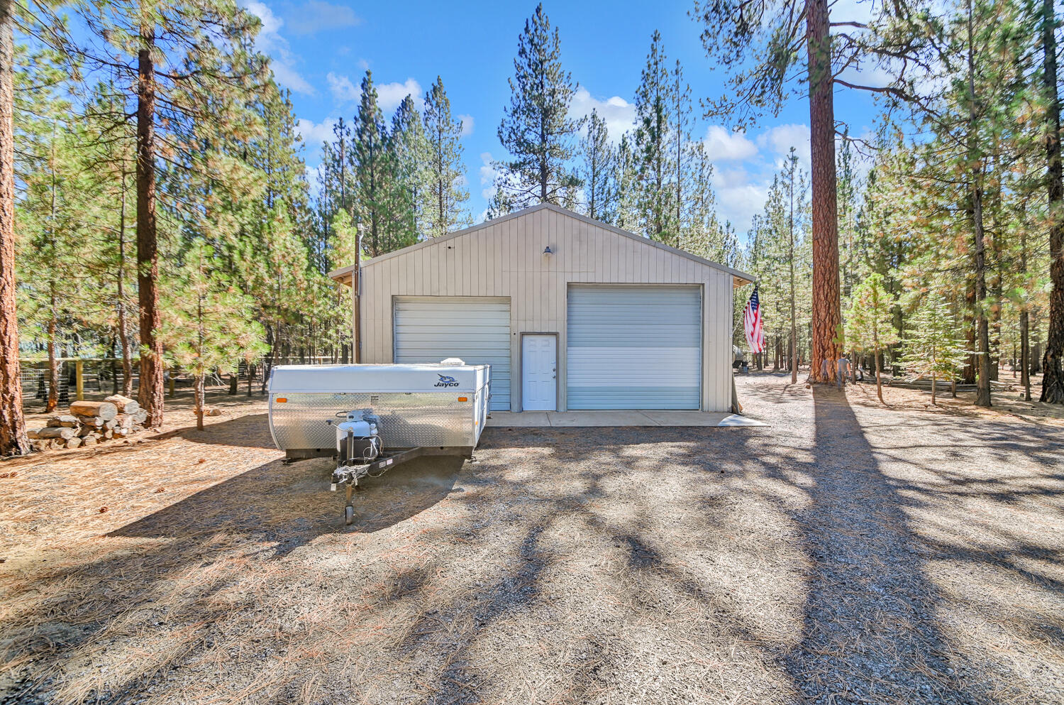 Ponderosa Pines - Land