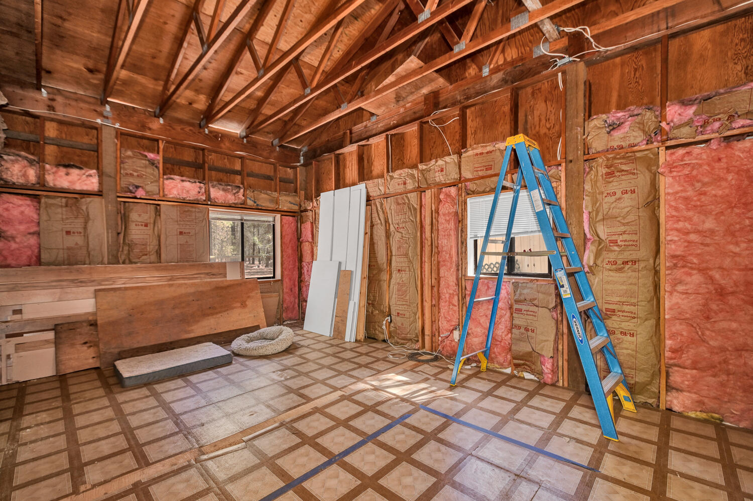 Ponderosa Pines - Land