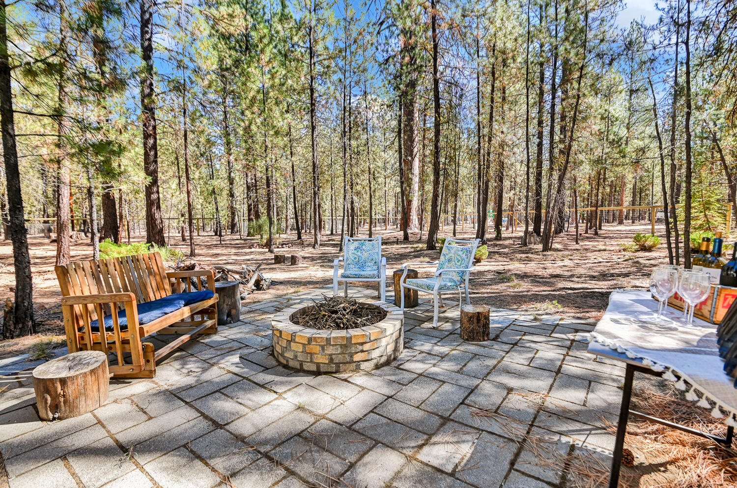 Ponderosa Pines - Land