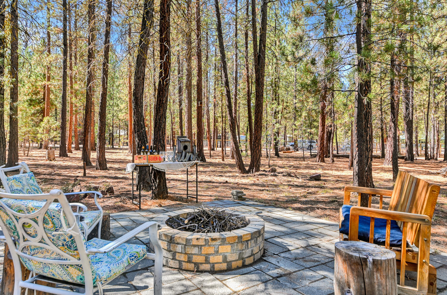 Ponderosa Pines - Land