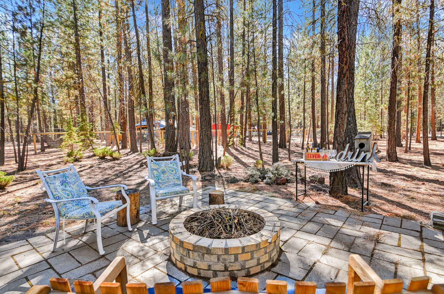 Ponderosa Pines - Land