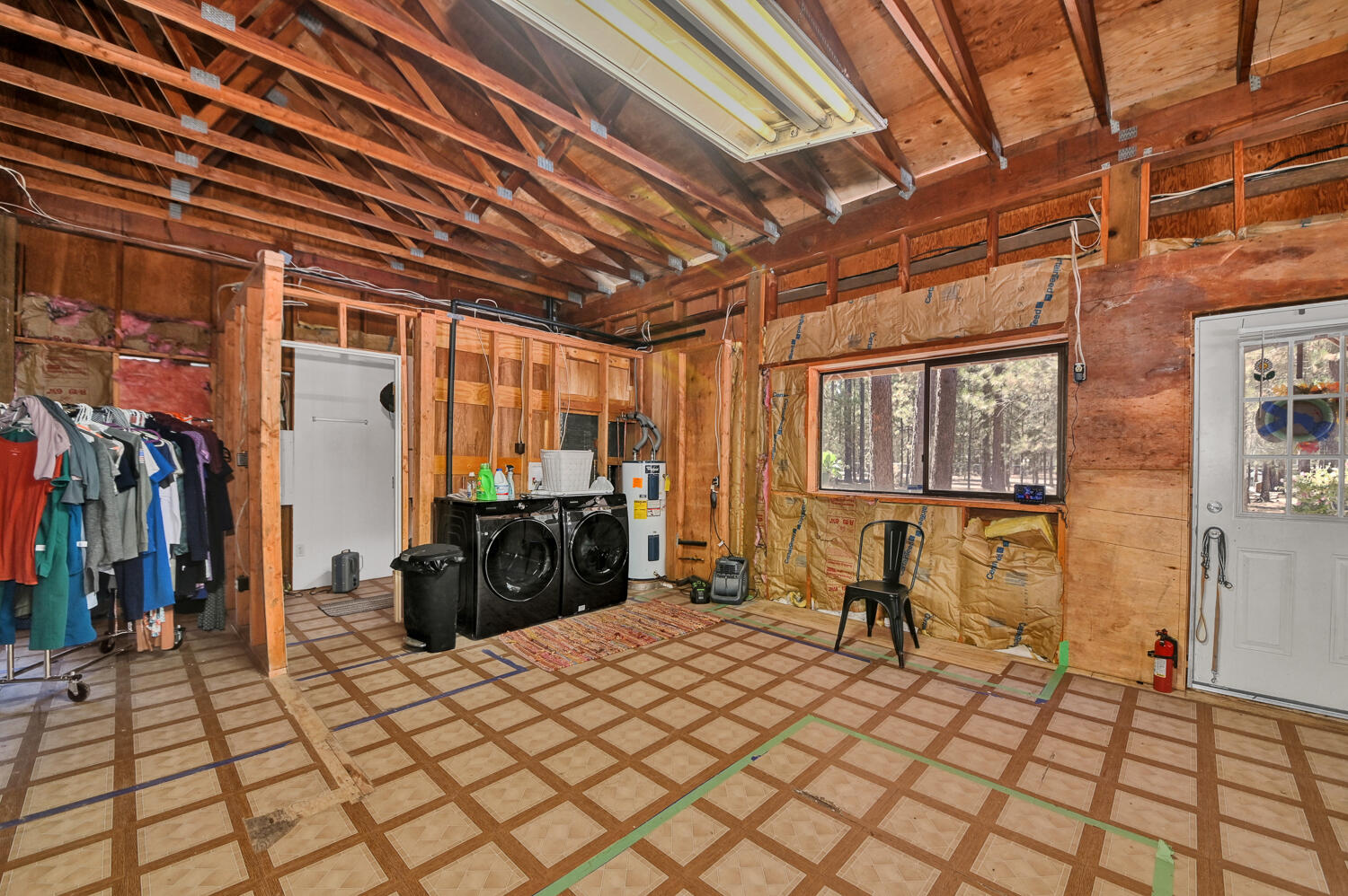 Ponderosa Pines - Land