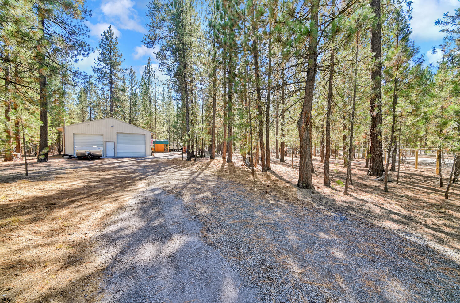 Ponderosa Pines - Land