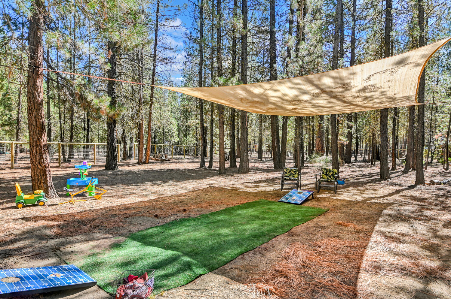 Ponderosa Pines - Land