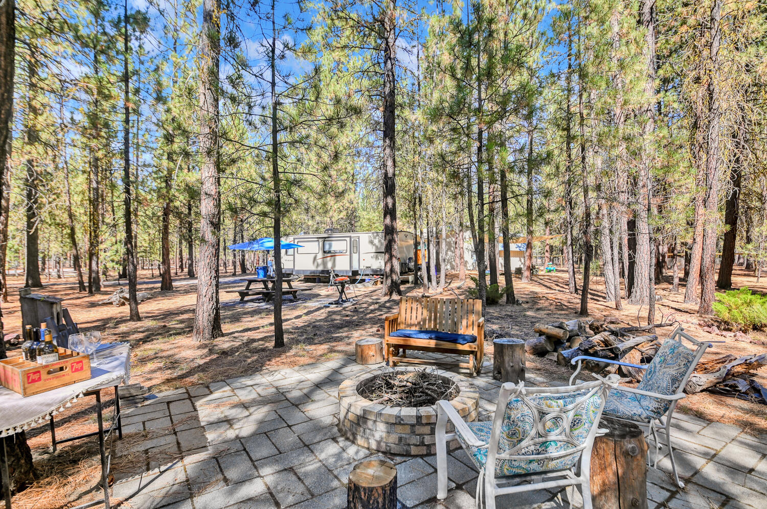 Ponderosa Pines - Land