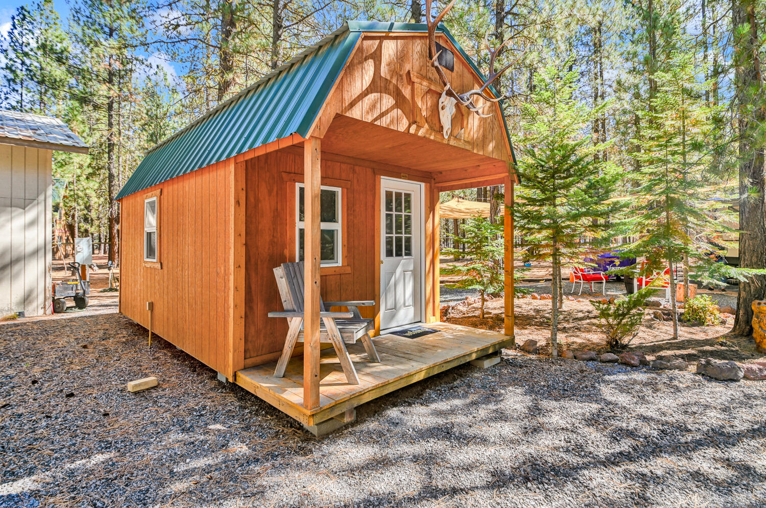 Ponderosa Pines - Land