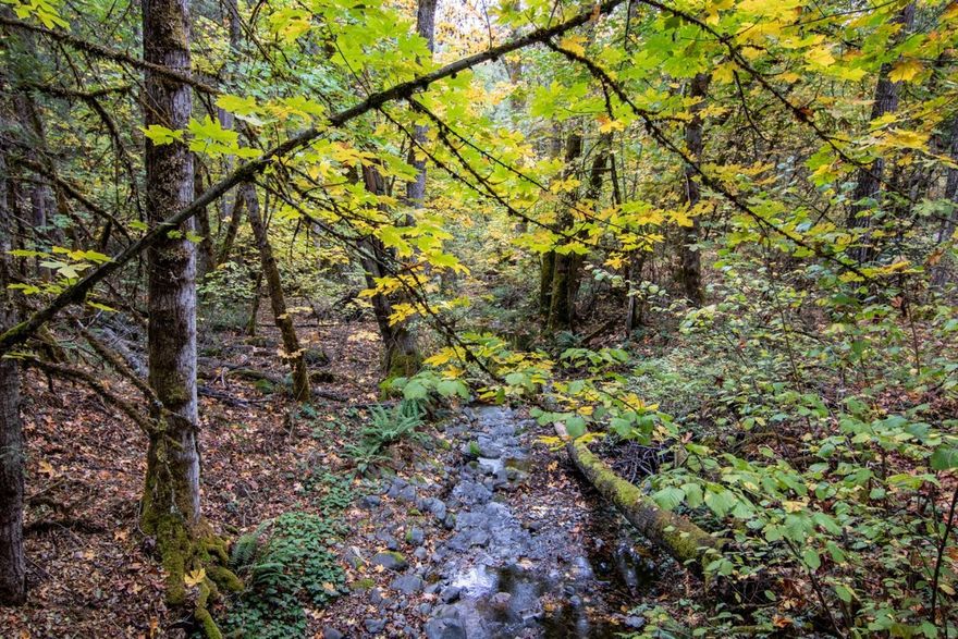 Rogue River ranchette property. Situated on 20 timbered acres at an elevation of 1,520 ft. 3 bed 2 bath manufactured home in excellent condition. Features a wonderful kitchen and pantry, formal dining and living areas and a certified wood stove. Covered deck access via french doors from the master bedroom. Natural light abounds with views of the forest from every room. Strong performing well at 28 gallons per minute. 3 year old roof. Well built auxillary structures include a large 2-bay shop with high ceilings and office space, two over-sized carports and a fenced garden area with a green house. Private and gated access to the property. Abundant wildlife with deer, turkey and the occasional mountain lion. Sykes Creek crosses the south end of the property. Located in the foothills of historic Wimer. Minutes to access backcountry trails on BLM land. 20 mts east of Interstate 5 at the town of Rogue River and 30 mts south of Grants Pass.