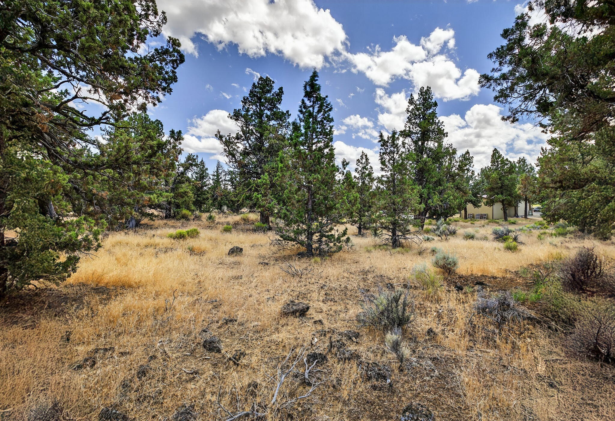 Cimarron City - Residential