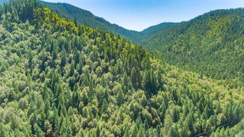 Tiny photo for 4901 Thompson Creek Road, Selma, OR 97538 (MLS # 220217110)