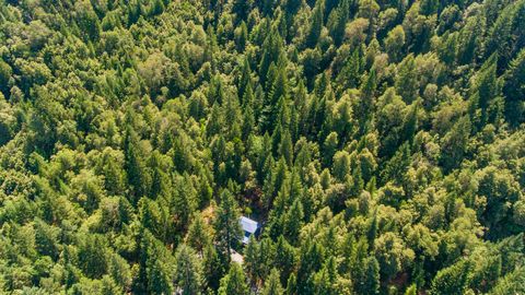 Tiny photo for 4901 Thompson Creek Road, Selma, OR 97538 (MLS # 220217110)