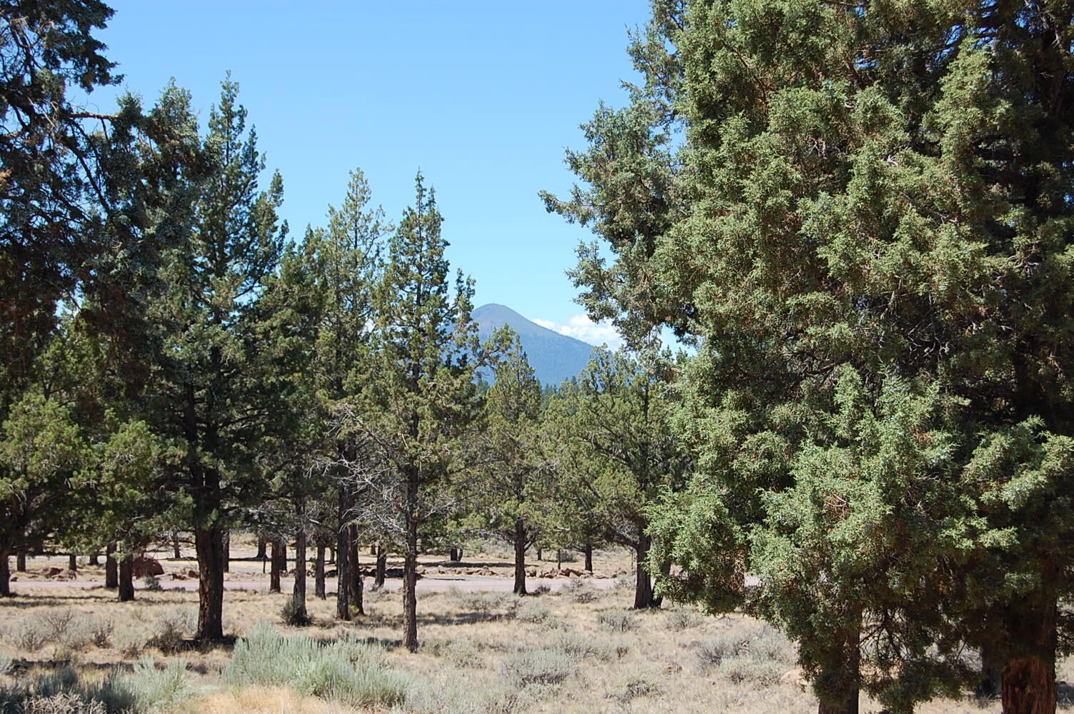 Panoramic View Est - Residential