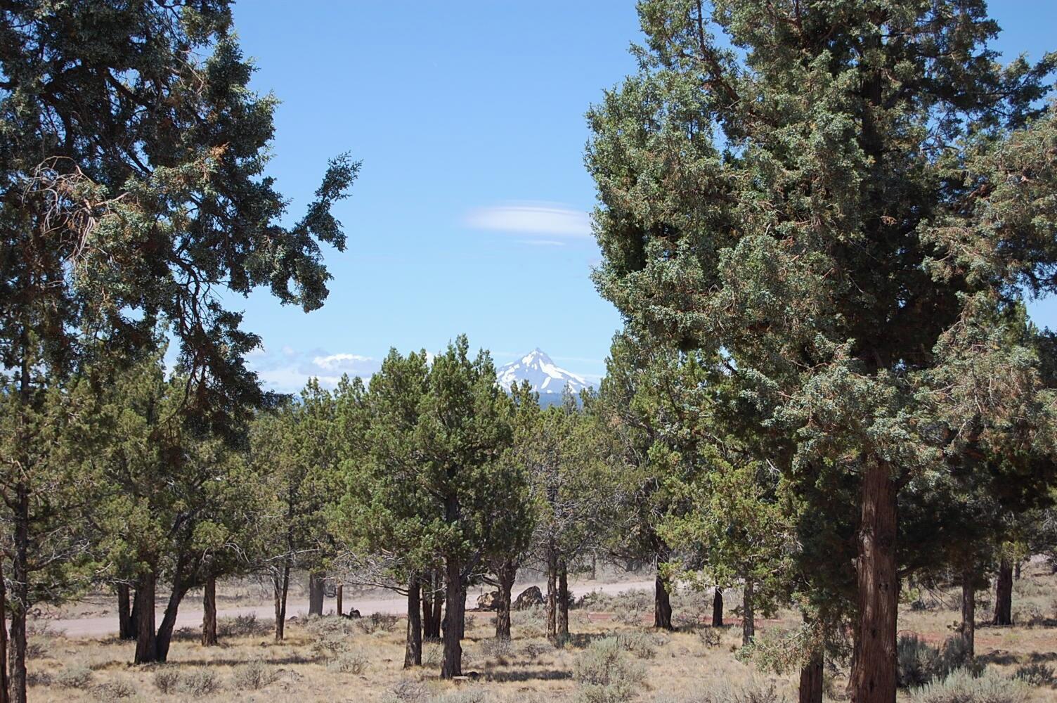 Panoramic View Est - Residential