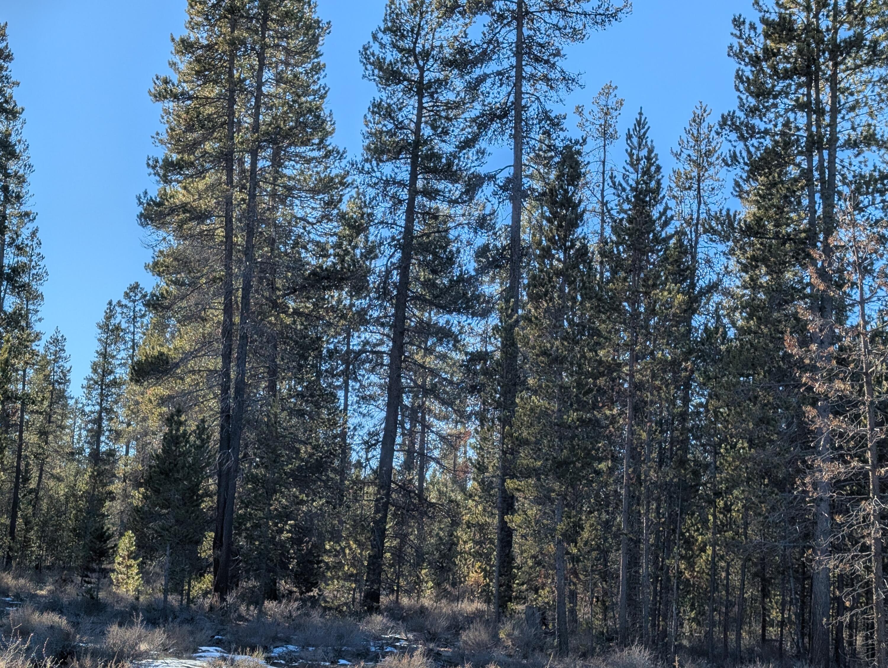 TL 211107B000108, TL 211106C00