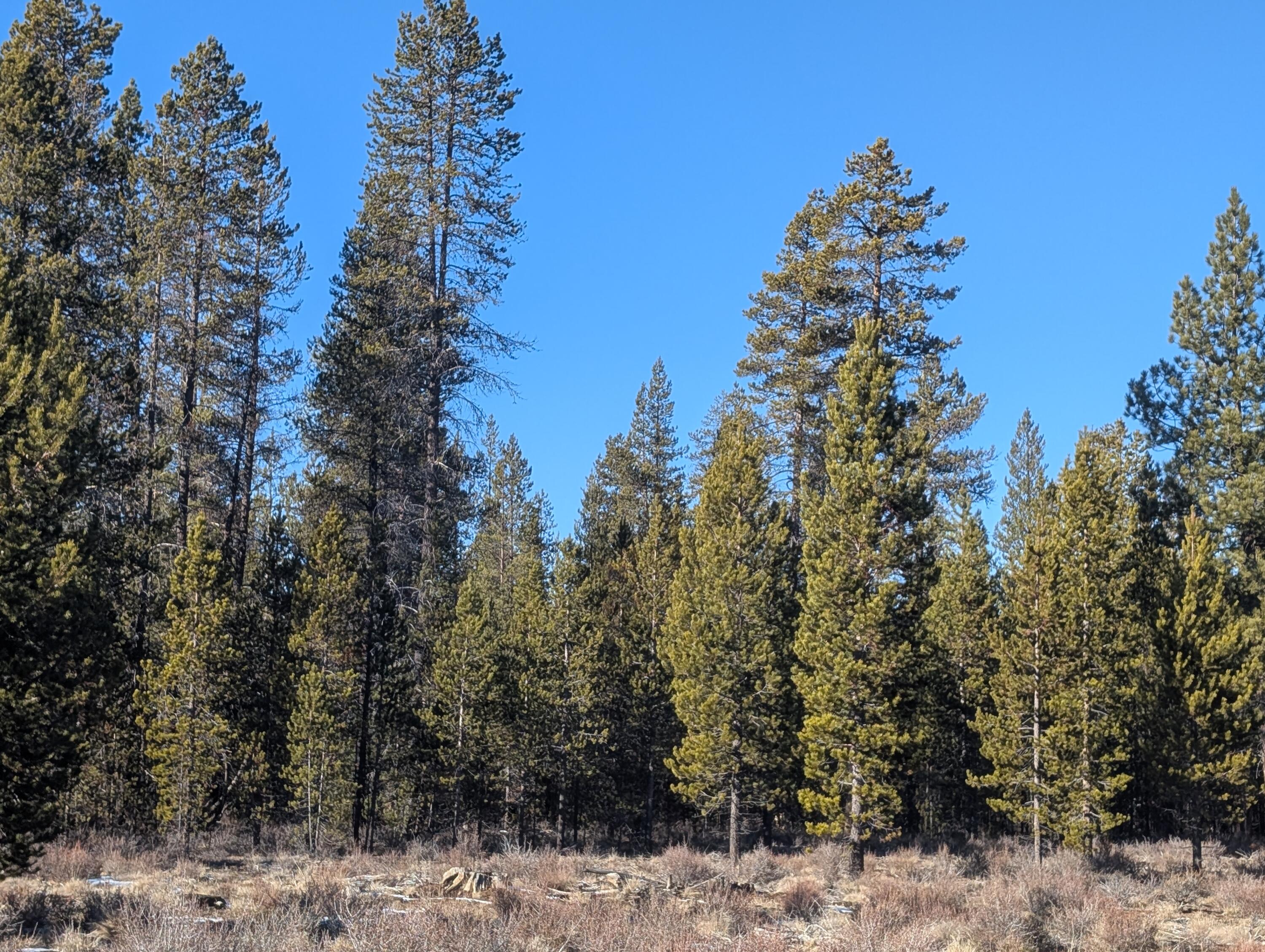 TL 211107B000108, TL 211106C00