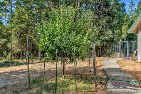 Tiny photo for 4059 Ditch Creek Road, Rogue River, OR 97537 (MLS # 220212660)