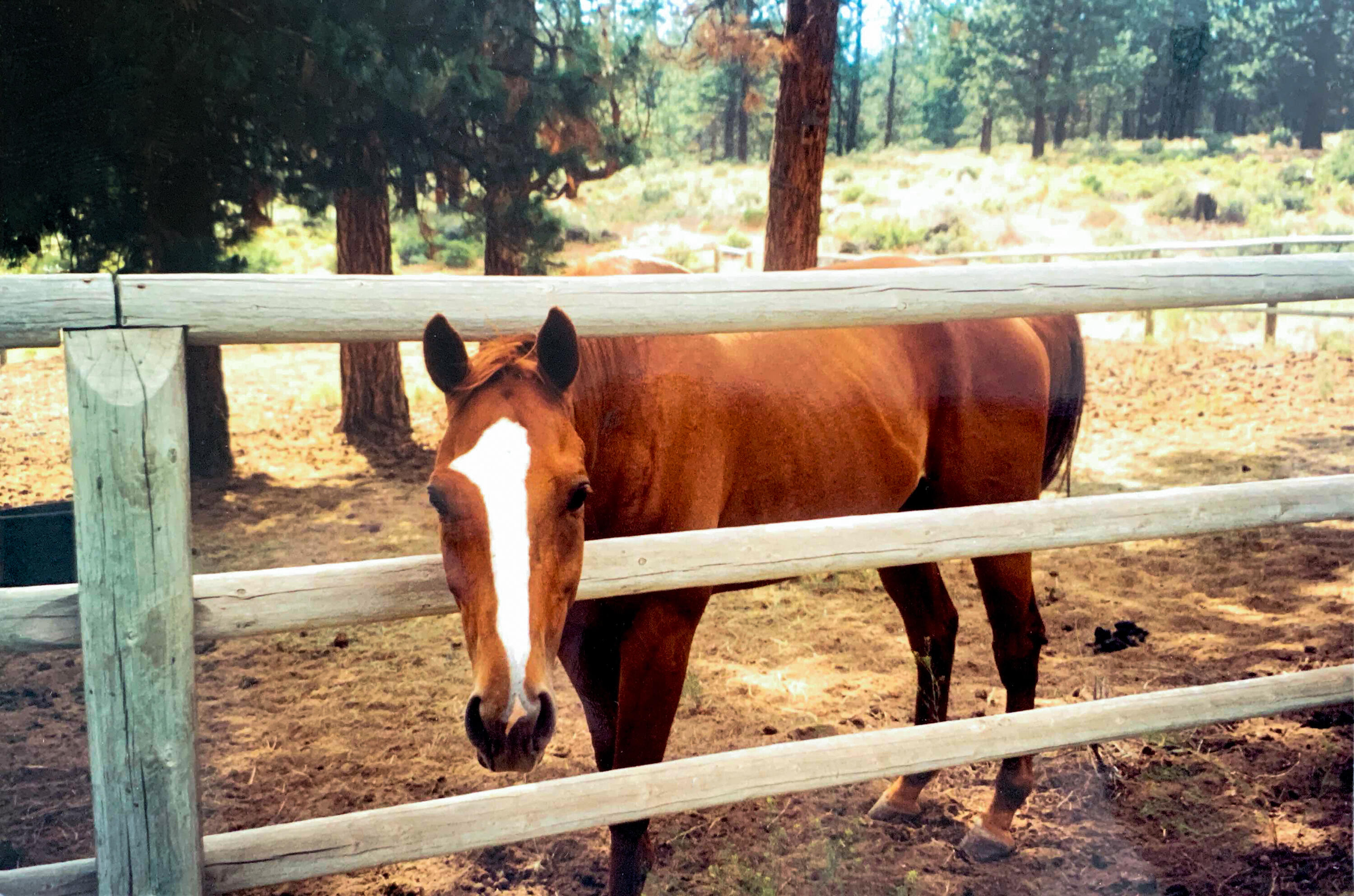 Woodside Ranch - Residential