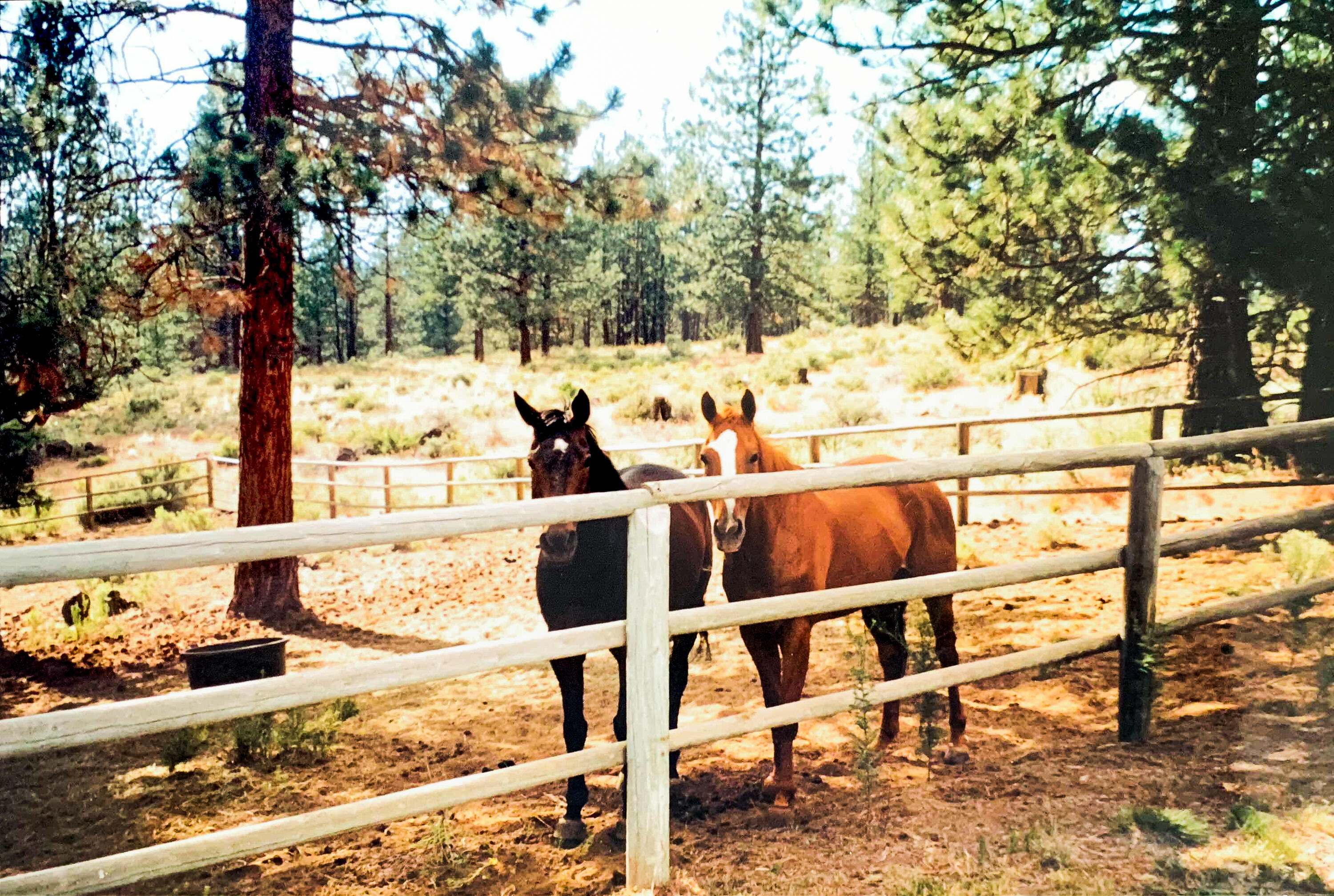 Woodside Ranch - Residential