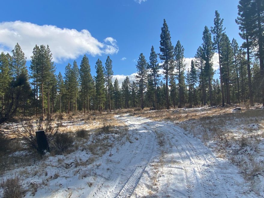 Large 40-acre parcel with all the useable flat land you need and fantastic sun exposure for gardening and plenty of privacy.  The timber has been professionally thinned a few years ago but still has lots of trees to enjoy. Home site approval may be possible as there are several homes in the area. Easy vehicle access, seasonal water runoff, and partially fenced. Owner may be willing to finance with large down. Buyer to perform all due diligence related to the property.  Use GPS Coordinates 42.43365, -121.49940