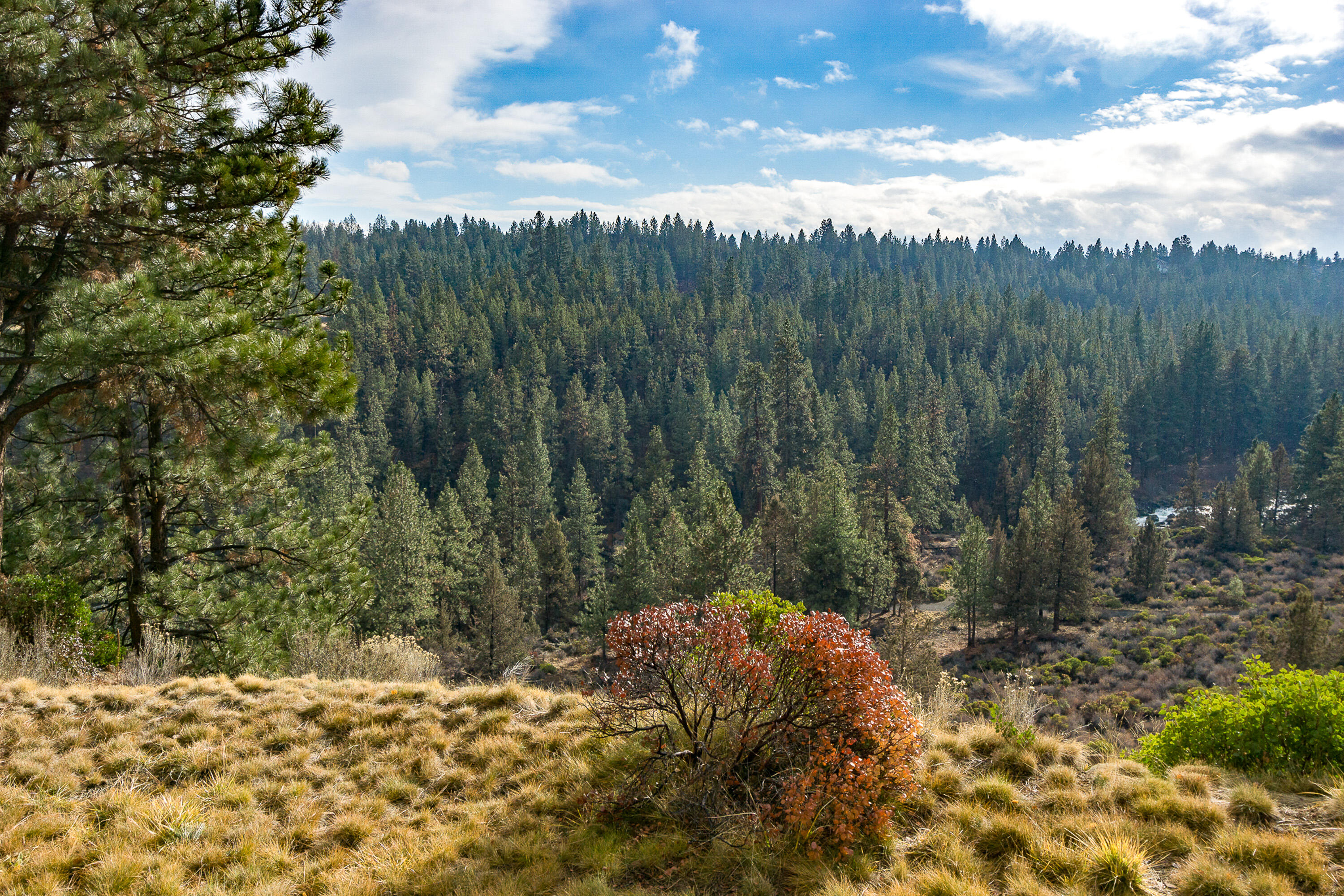 Mt Bachelor Village - Residential