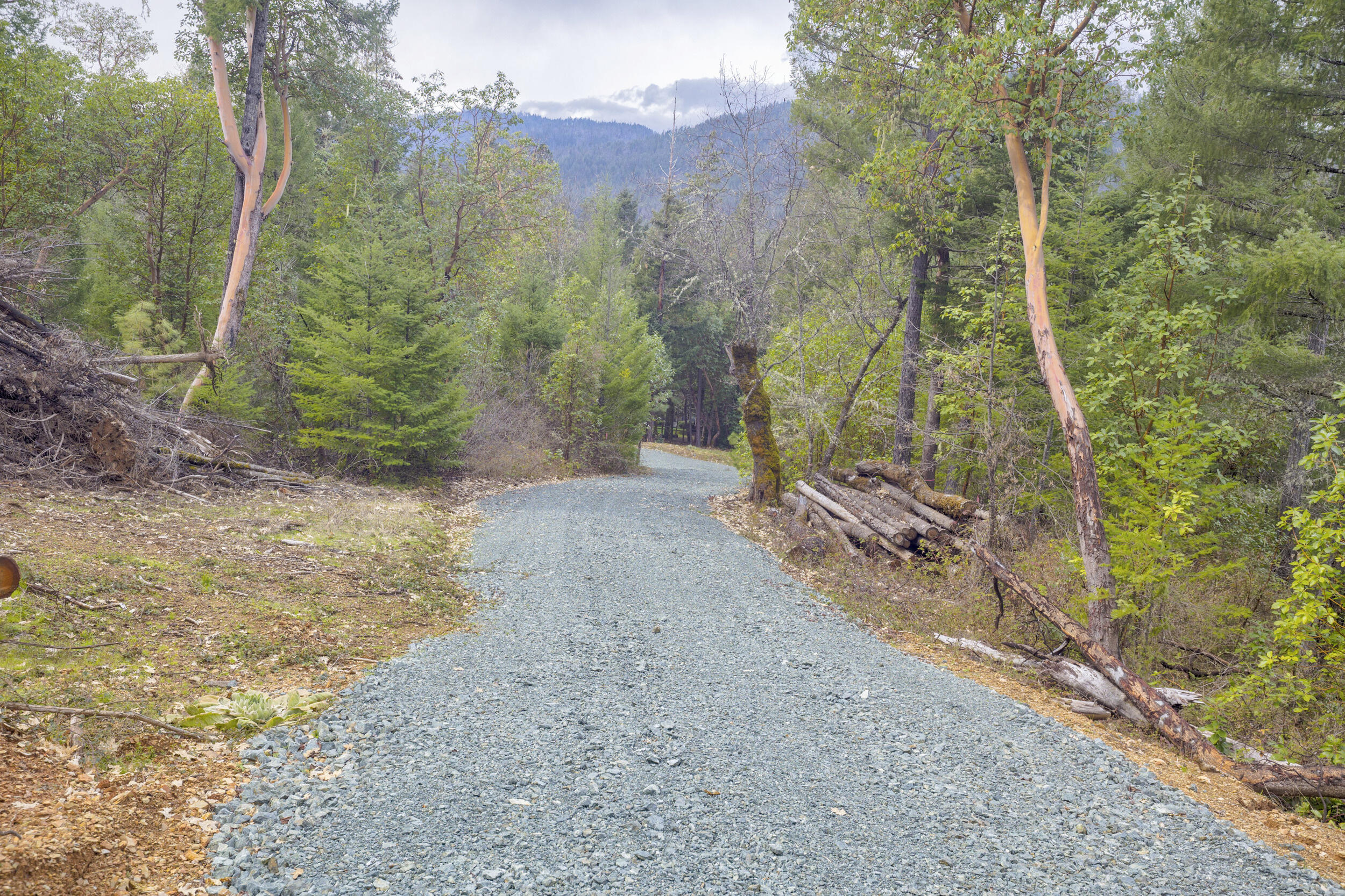 Ferry Park Estates - Land