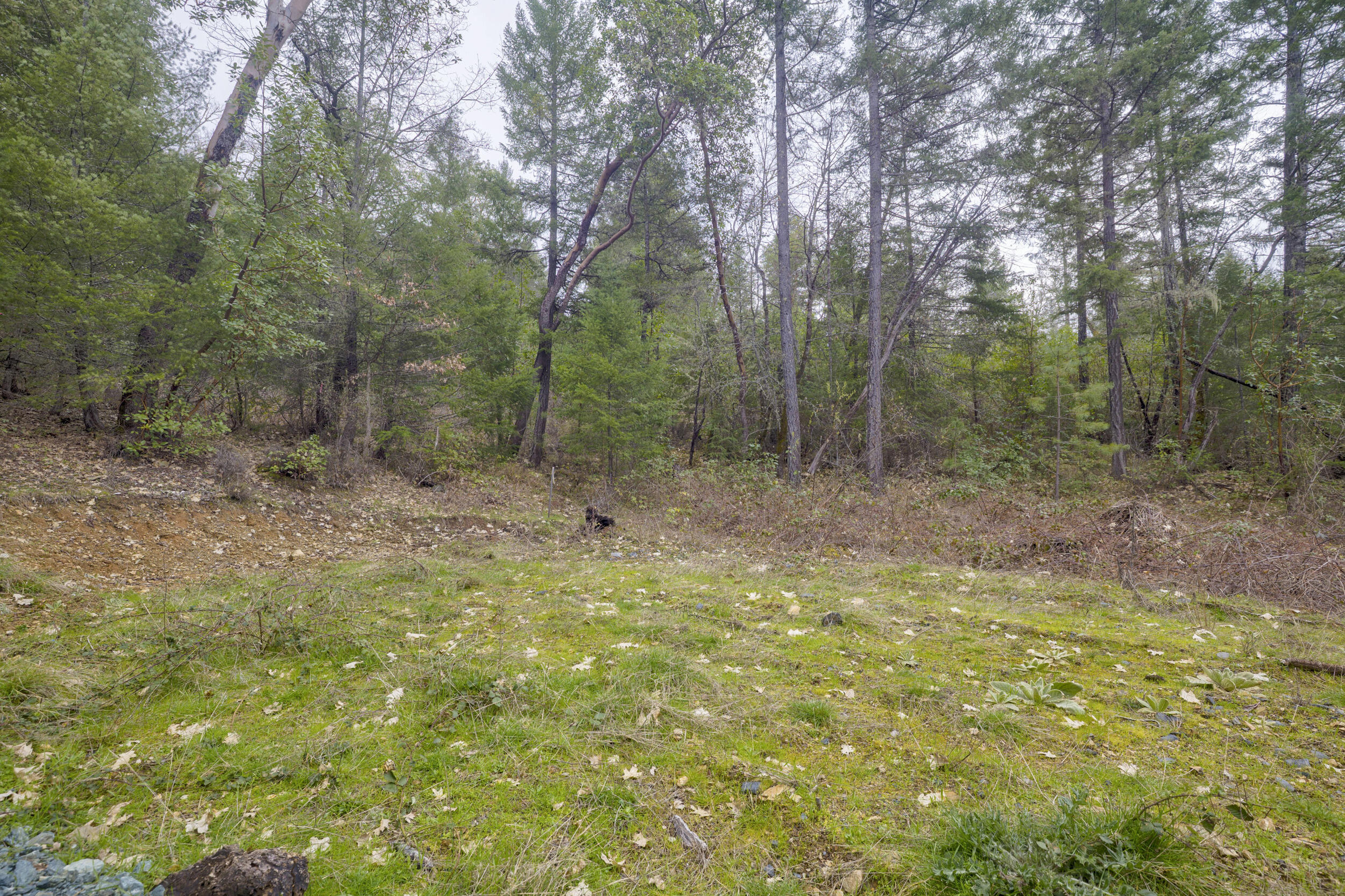 Ferry Park Estates - Land