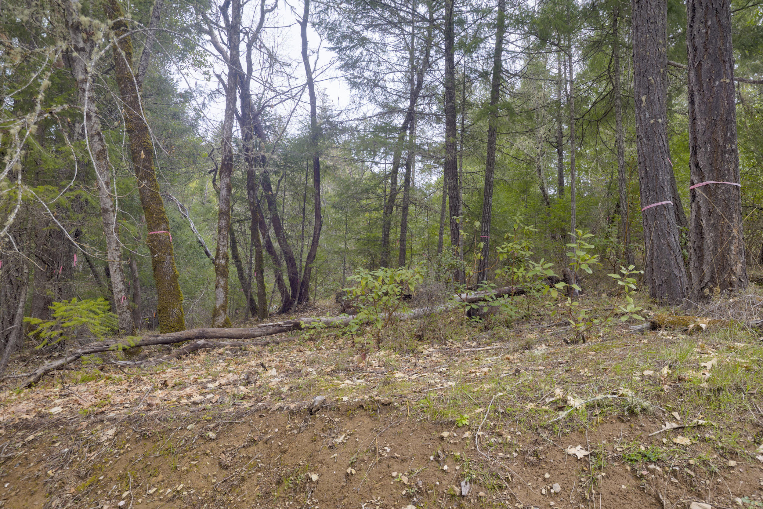 Ferry Park Estates - Land