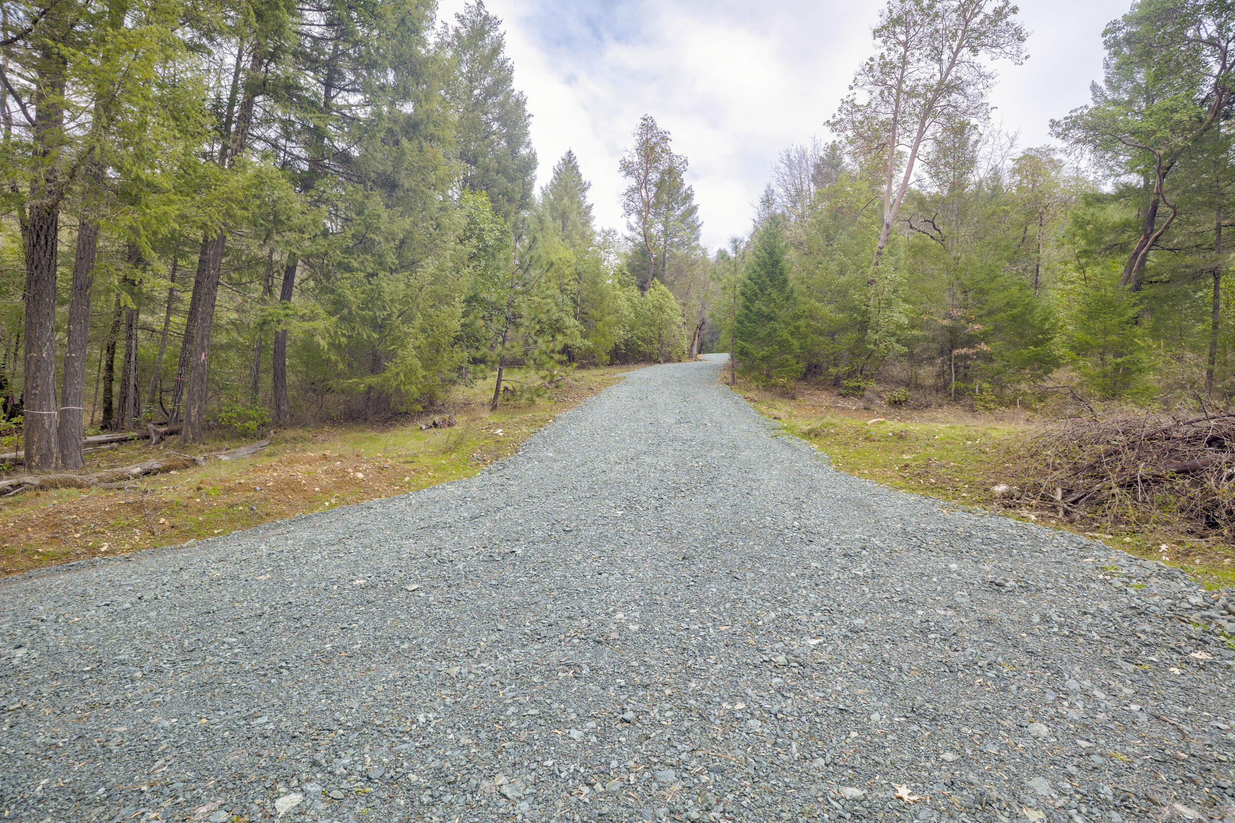 Ferry Park Estates - Land