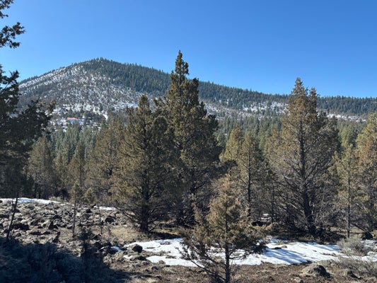 ADDRESS PRIVATE, KLAMATH FALLS, OR 97603 - Image 4d48ebd4cd9b17b3a7d426ecdf35150b/2873855520
