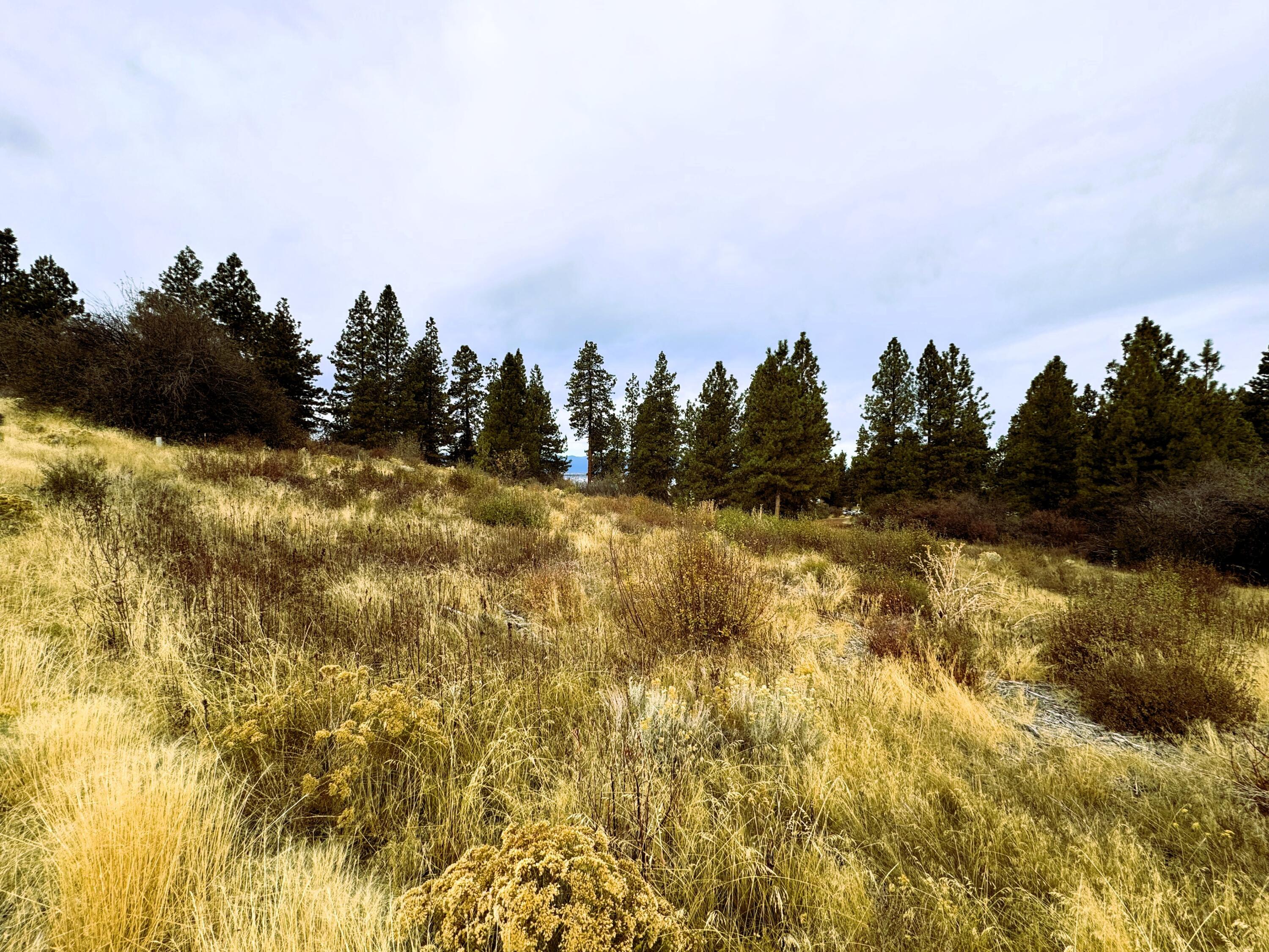 Oregon Shores -Unit 2 - Land