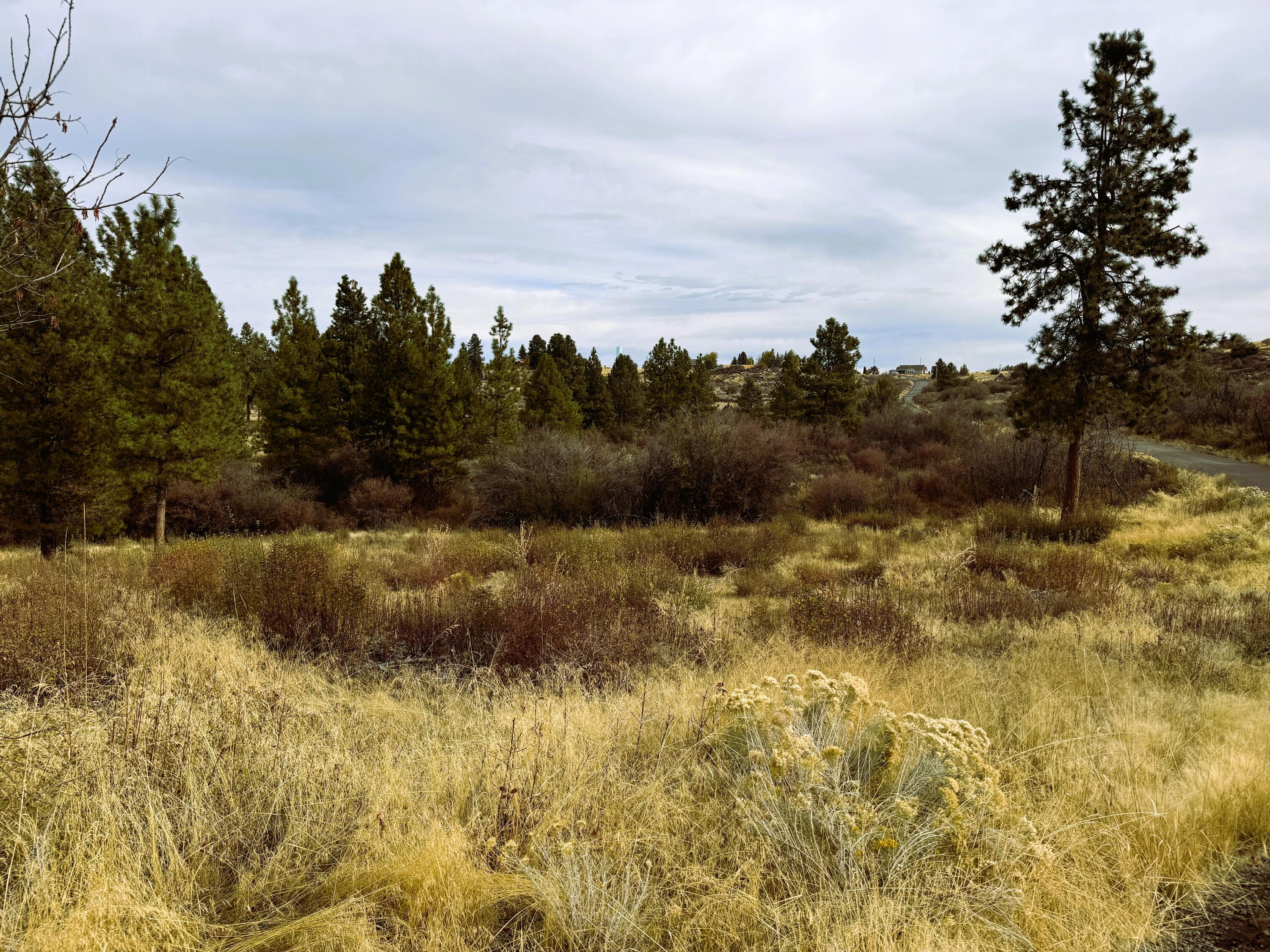 Oregon Shores -Unit 2 - Land