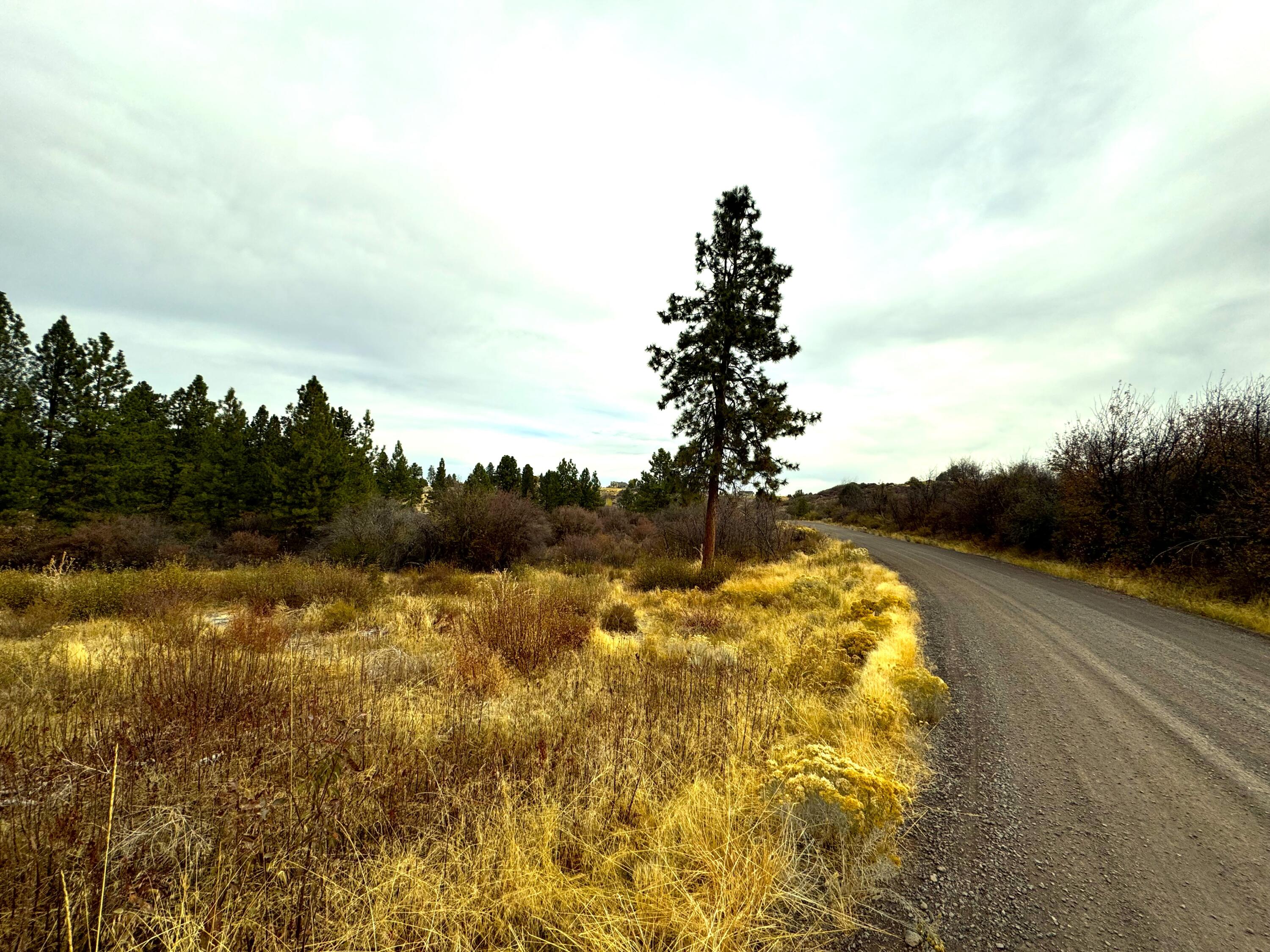 Oregon Shores -Unit 2 - Land