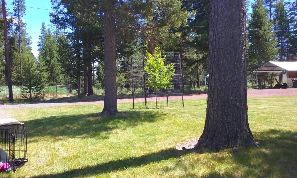 Woodland Park - Residential