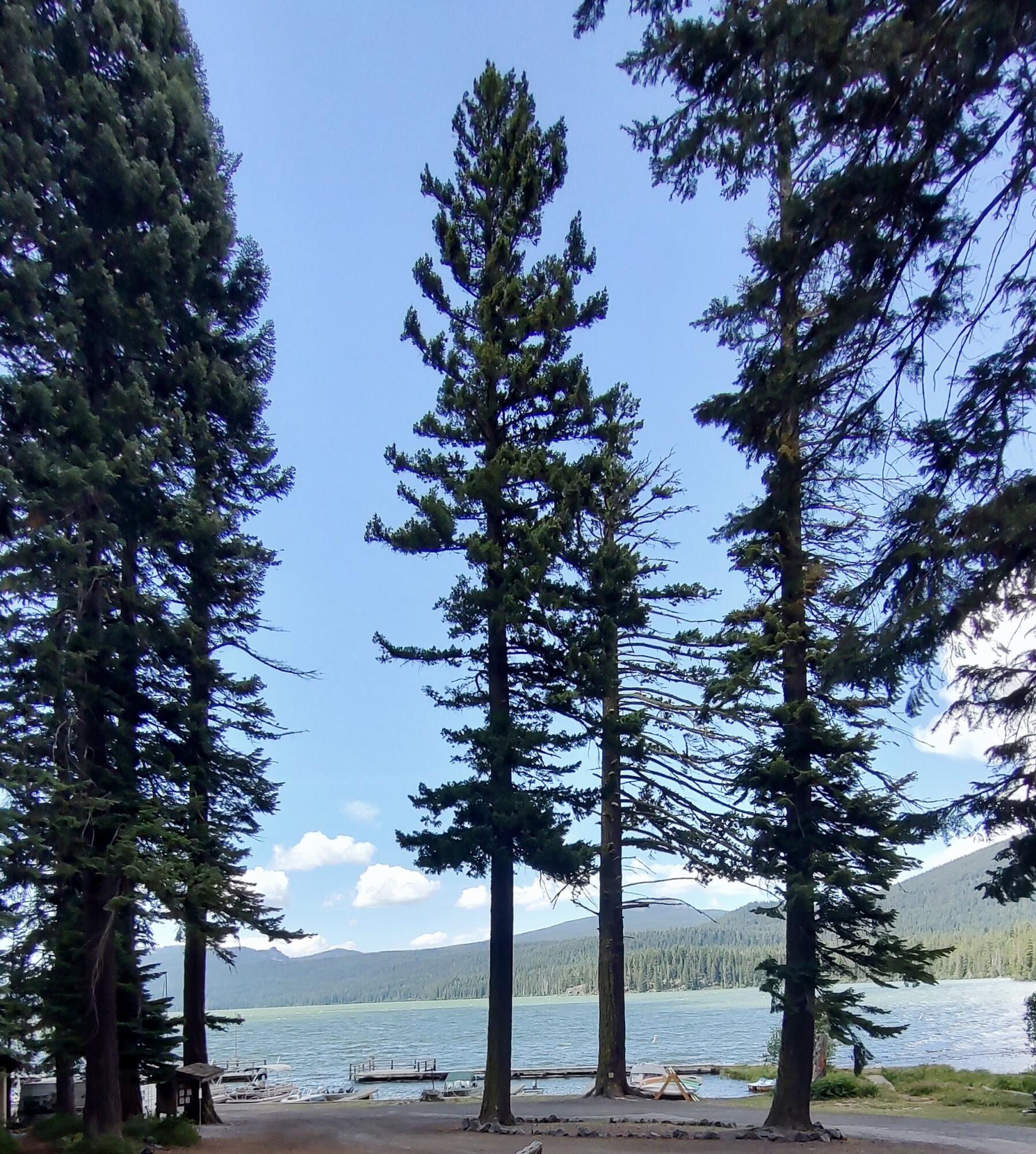 Diamond Peaks - Land