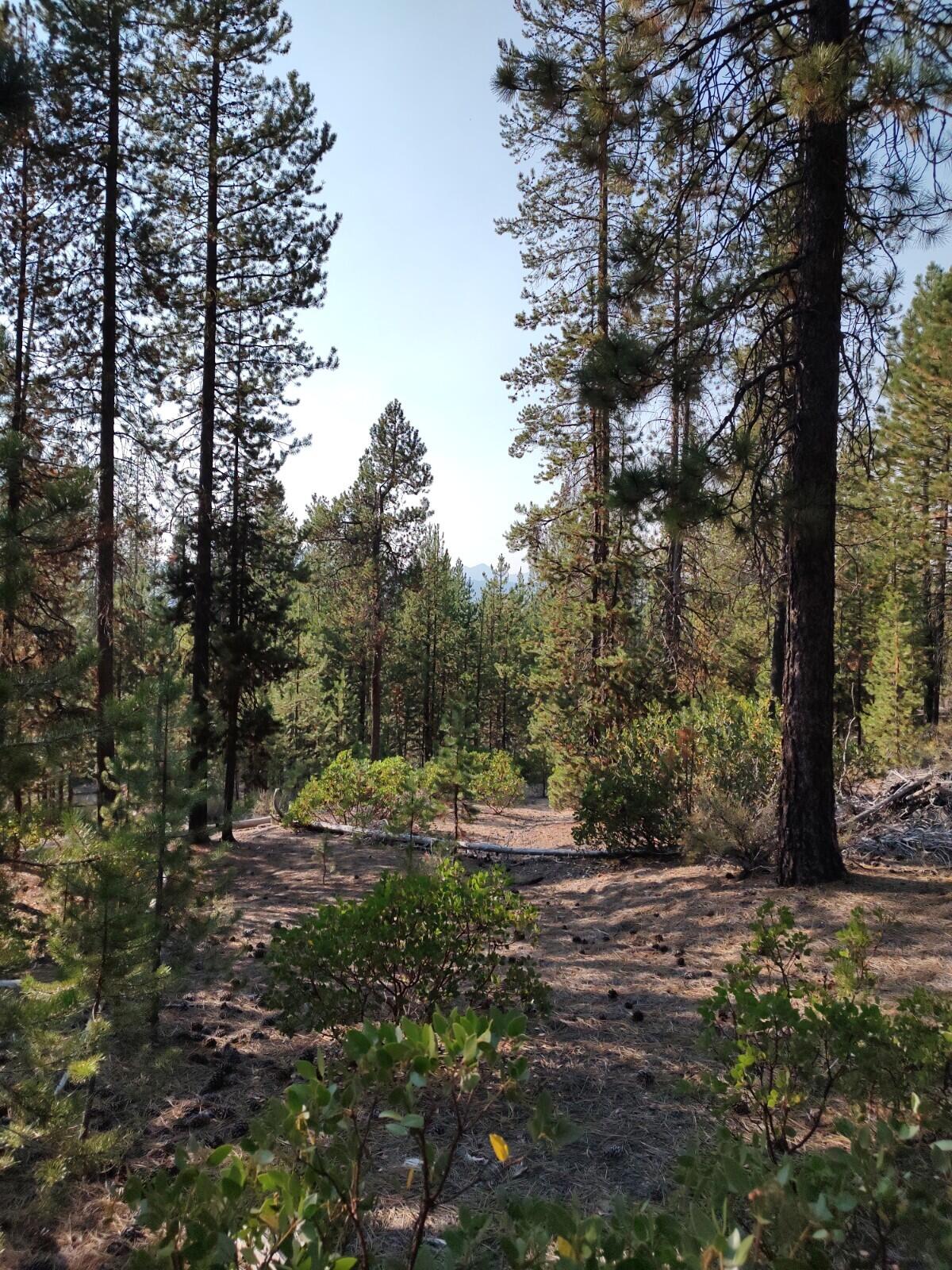 Diamond Peaks - Land