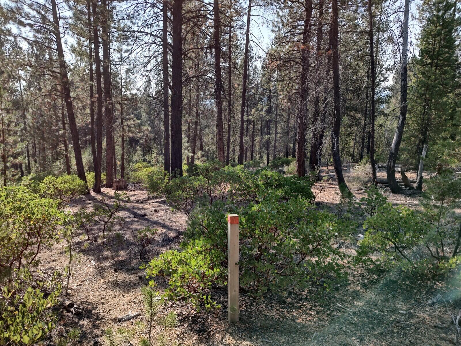 Diamond Peaks - Land