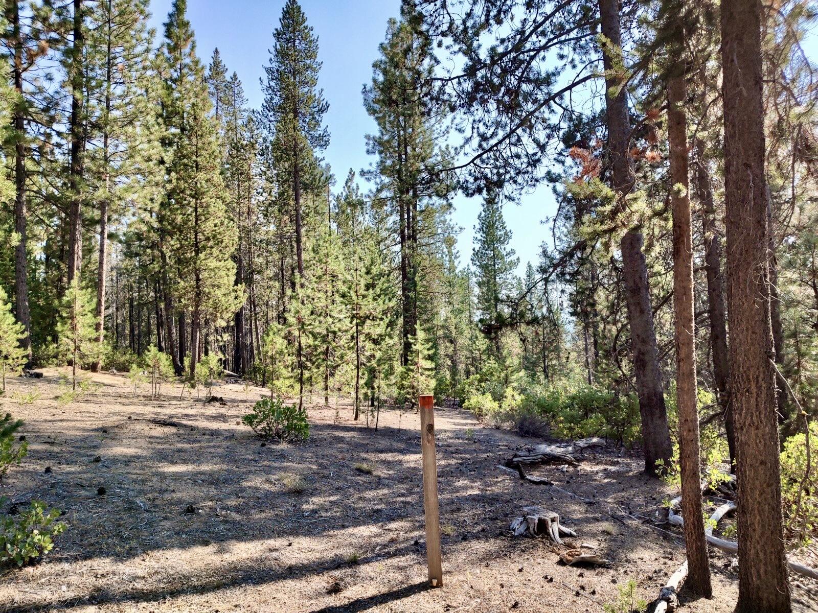 Diamond Peaks - Land