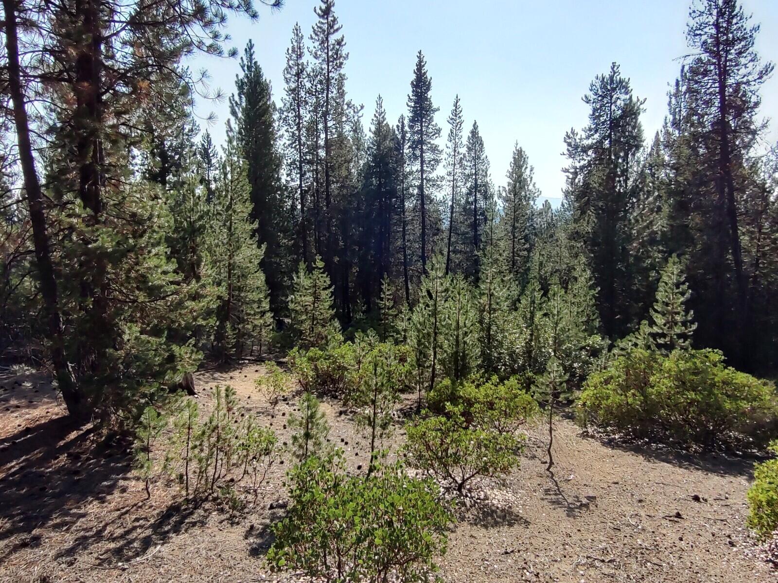 Diamond Peaks - Land