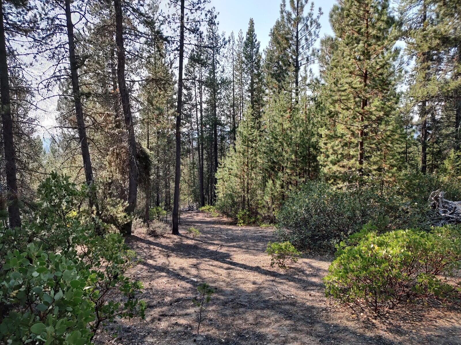 Diamond Peaks - Land