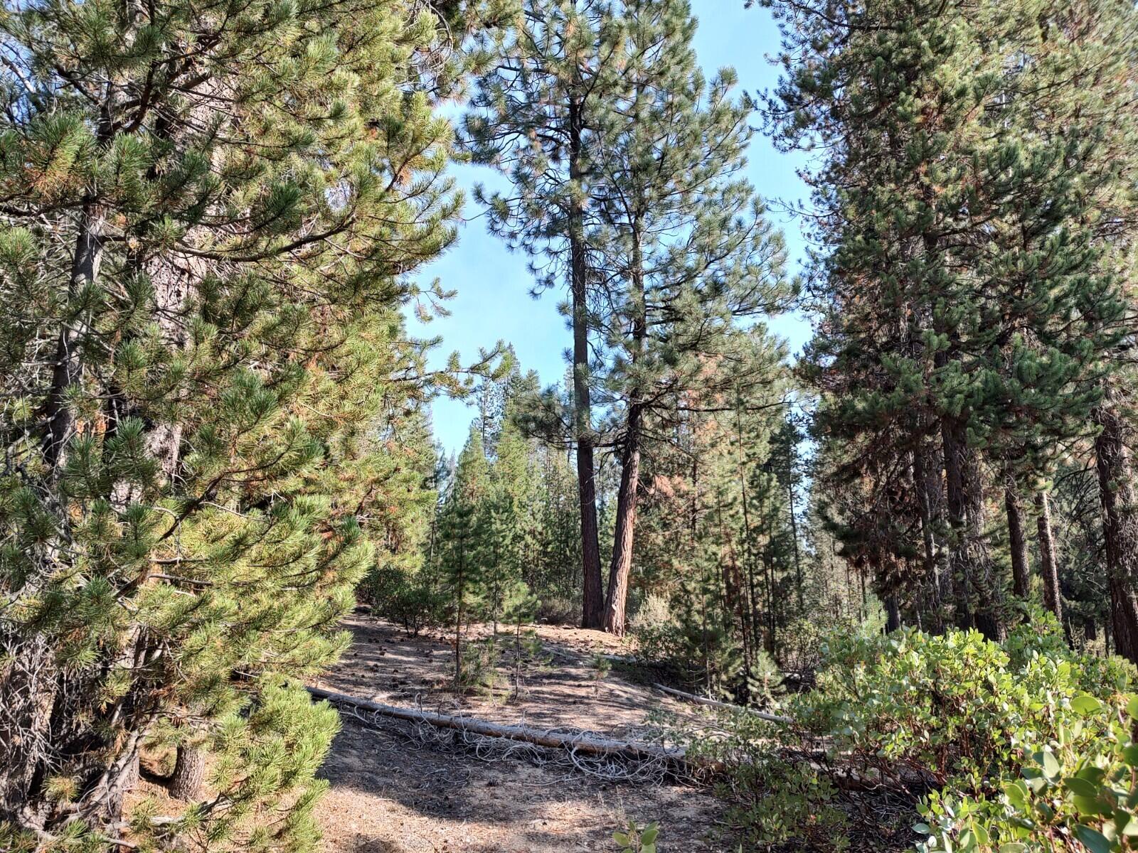 Diamond Peaks - Land