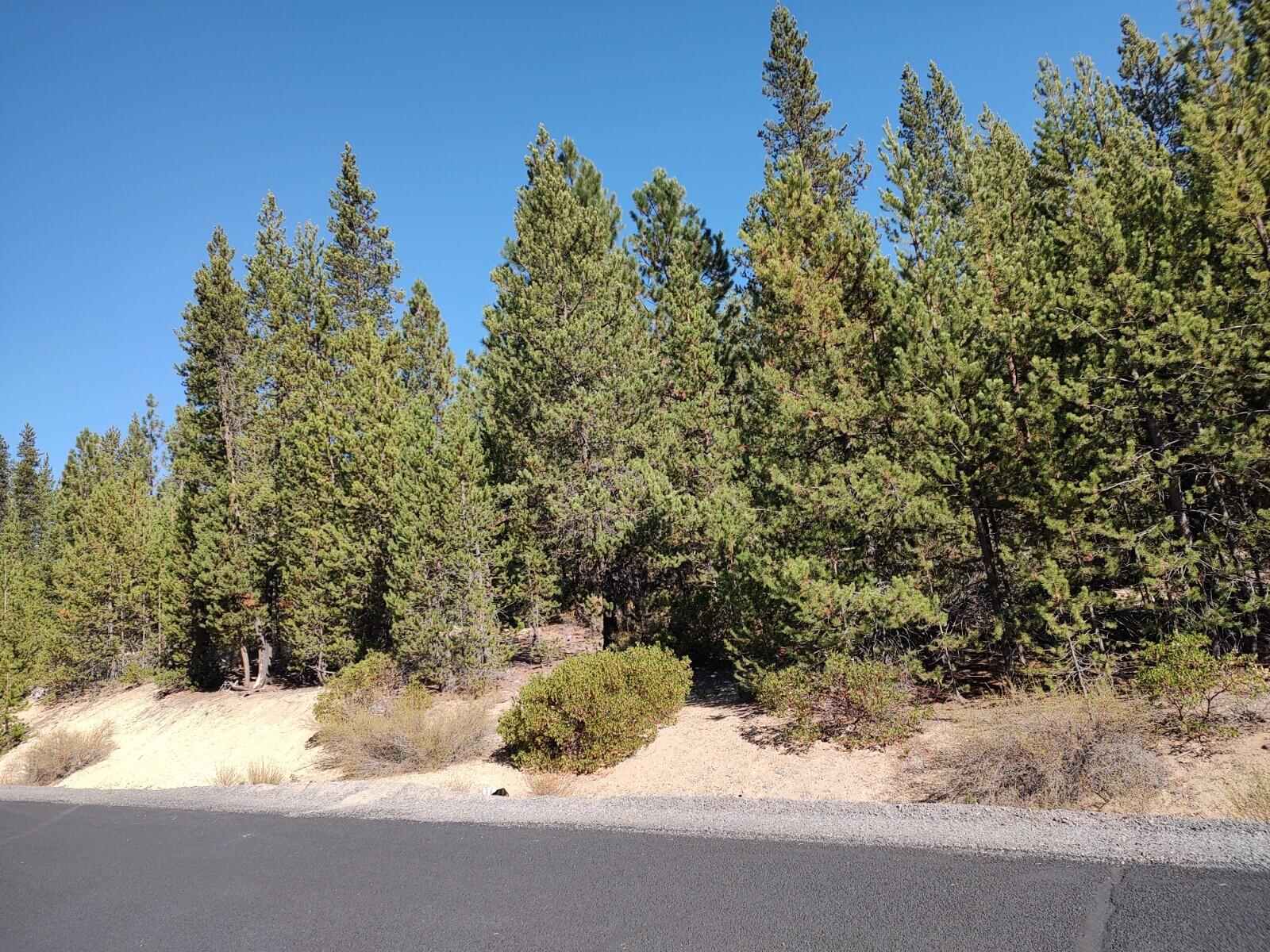 Diamond Peaks - Land