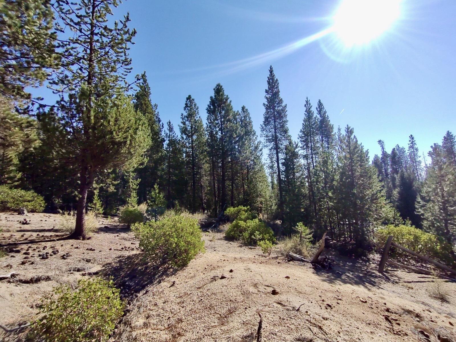 Diamond Peaks - Land