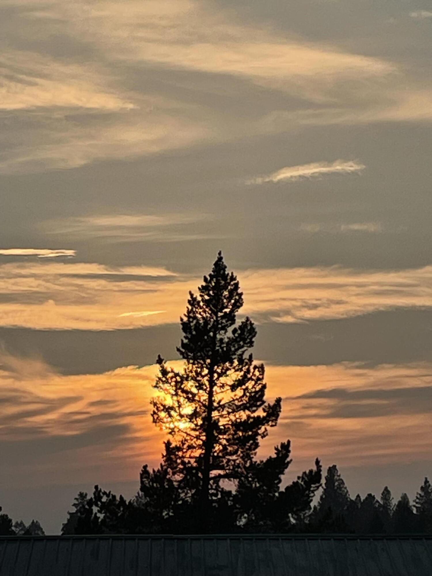 Powder Village Condo - Residential