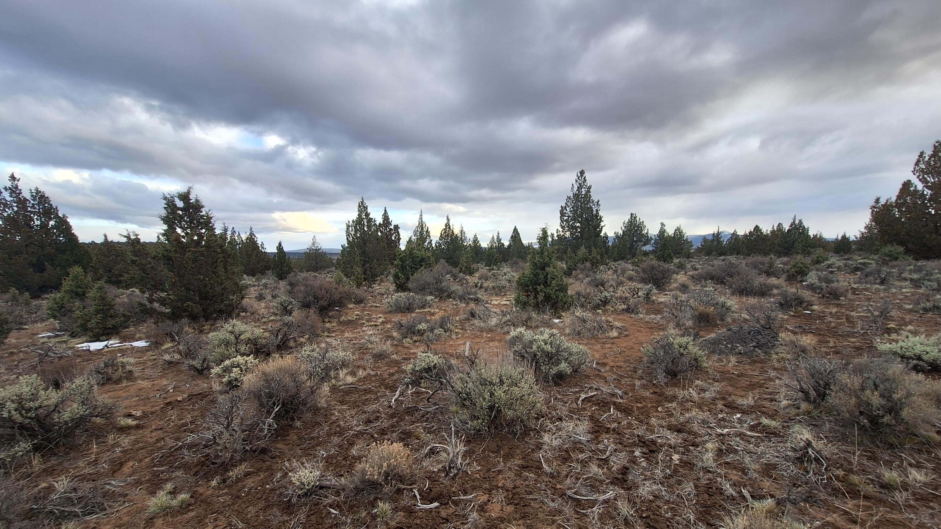 Golden View Ranch - Land
