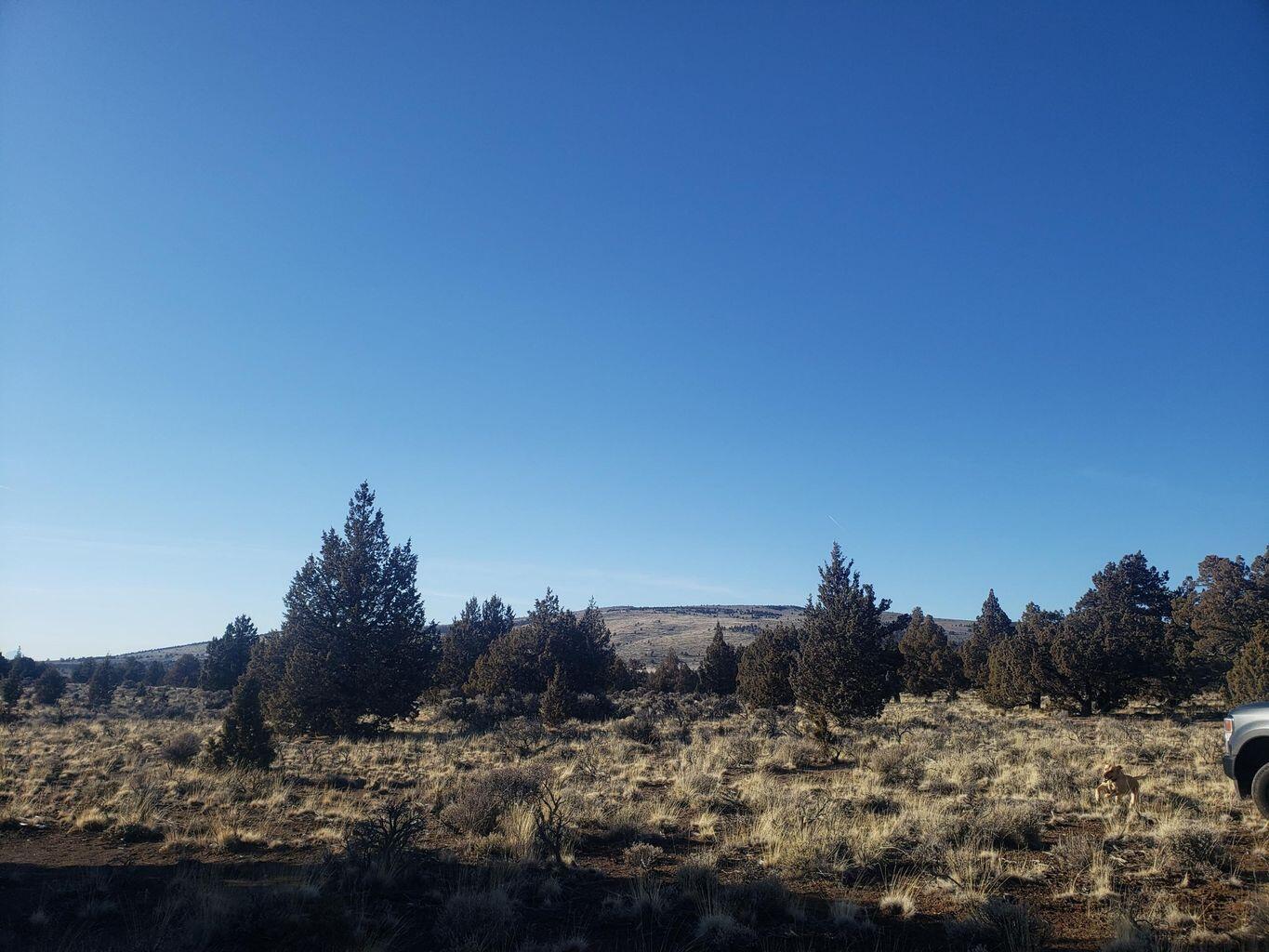 Golden View Ranch - Land