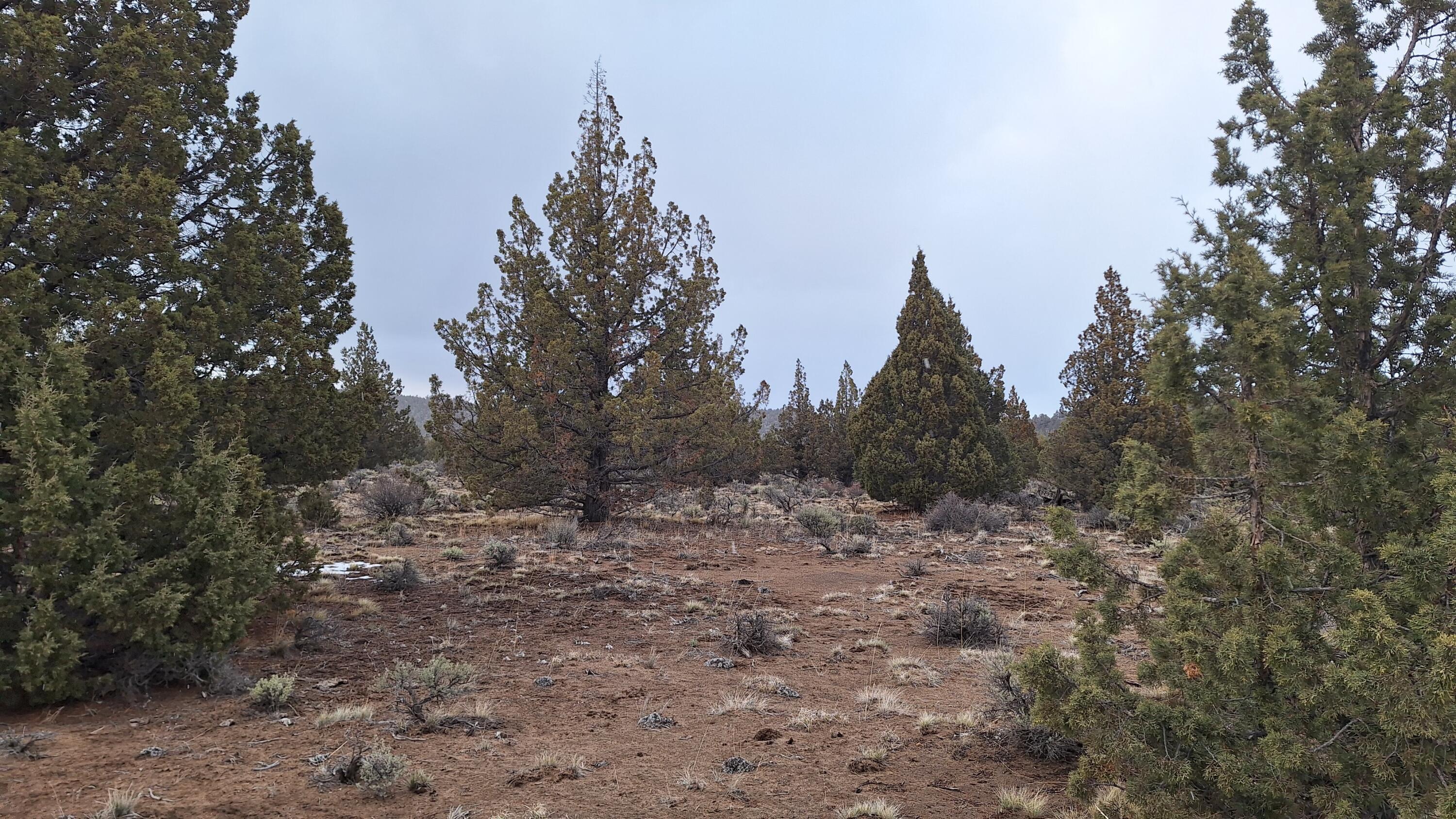 Golden View Ranch - Land