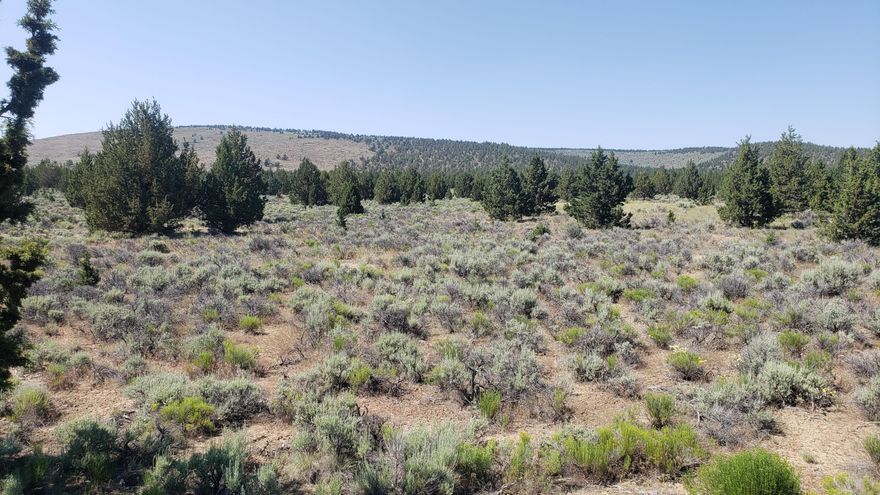 Enjoy this large 12.60-Acre Parcel in GoldenView Ranch near Millican. This parcel is located in Deschutes County, approximately 30 miles southeast of Bend and north of Highway 20. Enjoy the peace and solitude of this Juniper treed parcel. Ideal for your own camping spot, weekend getaway or recreational use. Call for maps and directions. Cash Only. Non-Buildable per Deschutes County. Zoned EFU-HR.