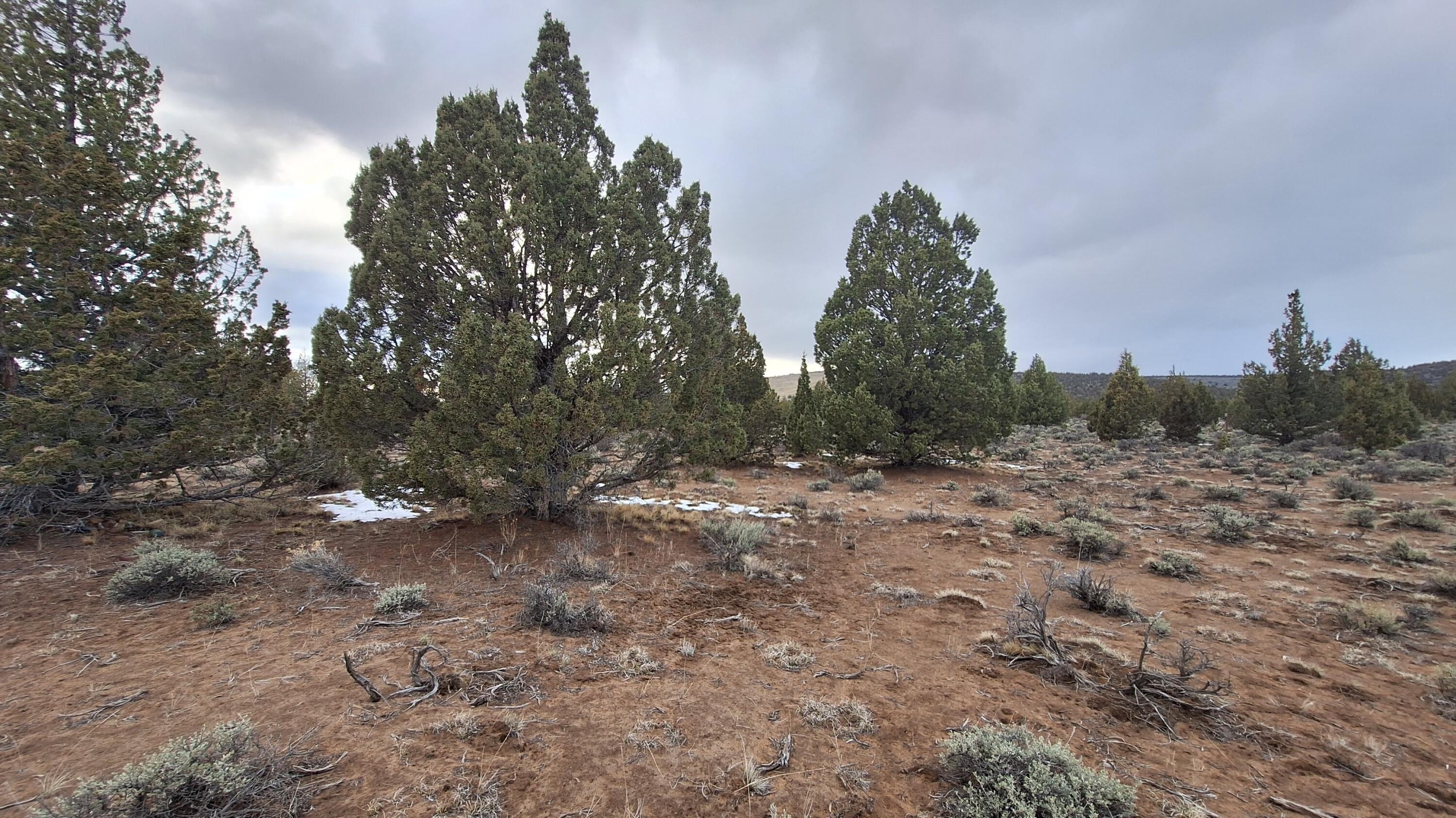 Golden View Ranch - Land